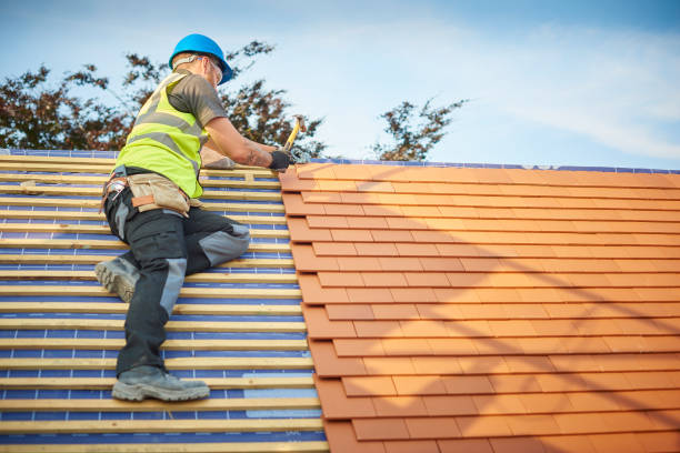 Best Asphalt Shingles Roofing  in Heron Bay, GA