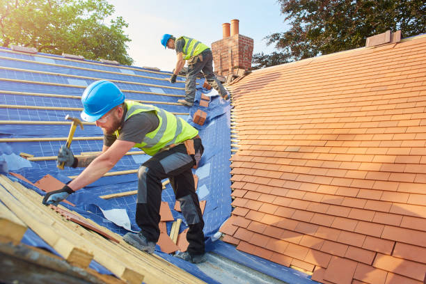 Best Roof Ventilation Installation  in Heron Bay, GA